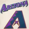 Arizona-Diamondbacks-Retro-Classic-Rib-Wool-Leather-Varsity-Jacket-leather moto 4