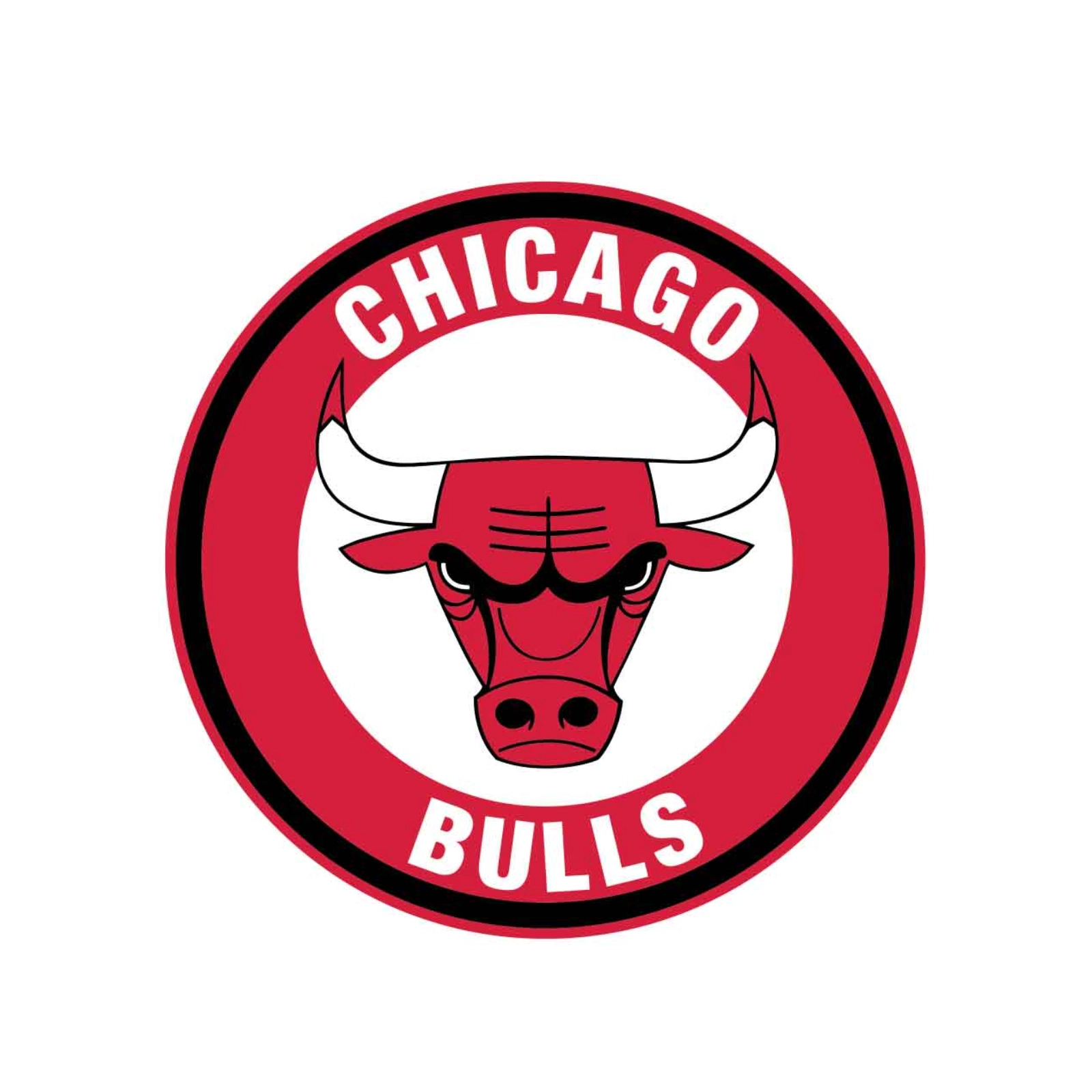 Chicago Bulls NBA Team Logo