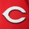 Cincinnati-Reds-Pro-Standard-Red-Wool-Leather-Varsity-Jacket-leather moto 4