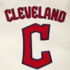 Cleveland-Guardians-Retro-Classic-Rib-Wool-Leather-Varsity-Jacket-leather moto 5