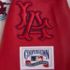Los-Angeles-Angels-Baseball-Team-Players-Wool-Leather-Varsity-Jacket-leather moto 4
