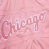 MN-x-Joe-Freshgoods-Racing-Jacket-Chicago-White-Sox-leather moto 7