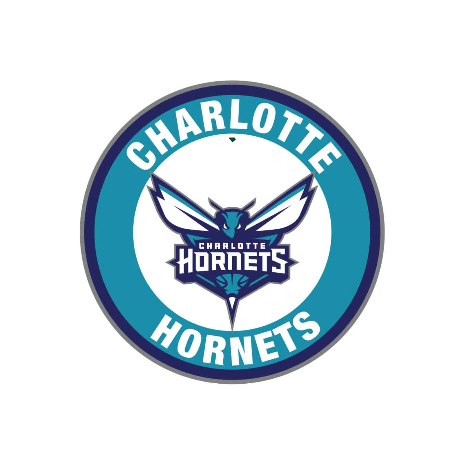 NBA Charlotte Hornets Team