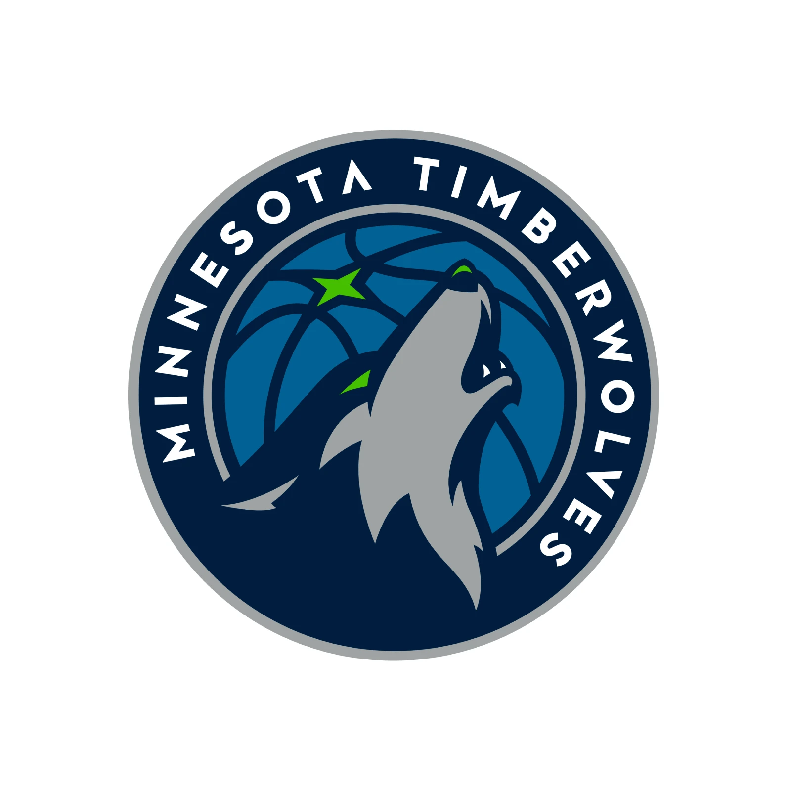 NBA Minnesota Timberwolves Team