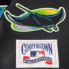 Tampa-Bay-Rays-Pro-Standard-Black-Wool-Leather-Varsity-Jacket-6-1