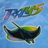 Tampa-Devil-Rays-Pro-Standard-Full-Snap-Satin-Varsity-Jacket-leather moto 4