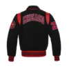 The NBA Chicago Bulls Collar Varsity Jacket-LeatherMoto