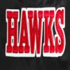 Atlanta-Hawks-Script-Tail-Womens-Ribbed-Knitted-Satin-Varsity-Jacket-Black-3-1