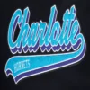 Charlotte-Hornets-Pro-Standard-Script-Tail-Black-Wool-Leather-Varsity-Jacket-5