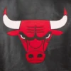 Chicago-Bulls-Full-Real-Leather-Varsity-Jacket-Black-3