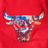 Chicago-Bulls-Pro-Standard-City-Centric-Wool-And-Leather-Varsity-Jacket-9