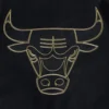 Chicago-Bulls-Pro-Standard-Logo-Black-And-Gold-Varsity-Jacket-5