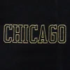 Chicago-Bulls-Pro-Standard-Logo-Black-And-Gold-Varsity-Jacket-6
