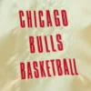 Chicago-Bulls-Team-OG-2.0-Full-Zip-Satin-Varsity-Jacket-Gold-4
