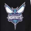 Womens-Charlotte-Hornets-Pro-Standard-Script-Tail-Wool-And-Leather-Varsity-Jacket-6